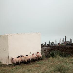 Neon (feat. Roberto Mares)