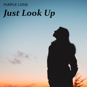 Just Look Up
