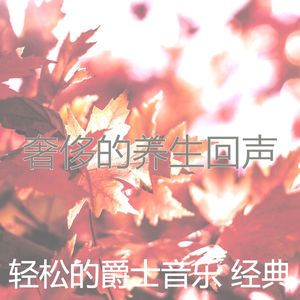 一尘不染放松的印象数