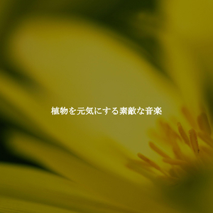 Happy Ambience for Work Enjoyment