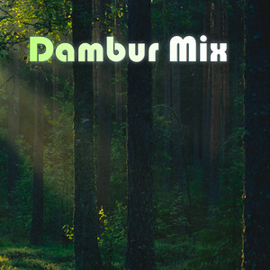Dambur Mix