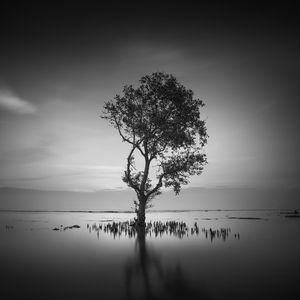 2022.09.12于黑夜之中