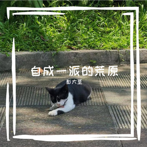 自成一派的荒原