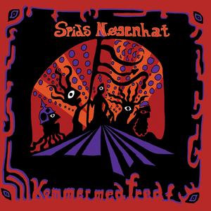 Den gennemsigtige mand