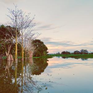 Fiume In Piena
