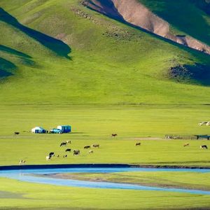 我们都爱听蒙语情歌（合集）