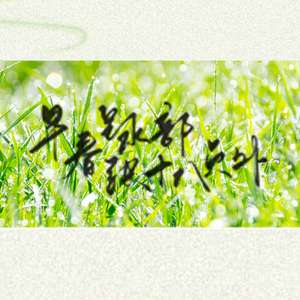 早春呈水部张十八员外