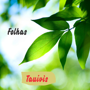 Folhas