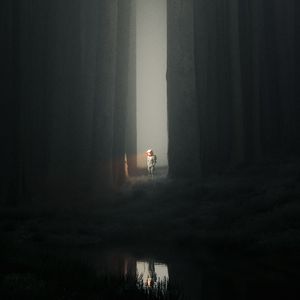 七岁夏夜的蝉鸣