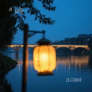 退不回的爱 (Cover 白一莎)