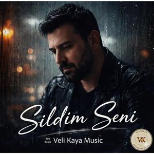 Sildim Seni