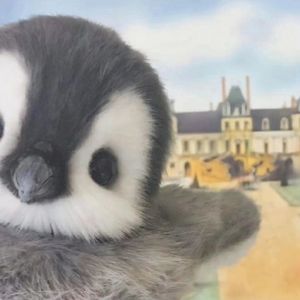 这首歌必须得是粉色的