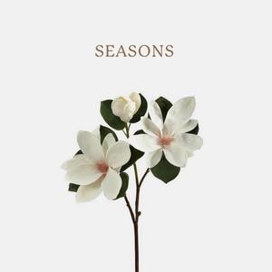 Seasons