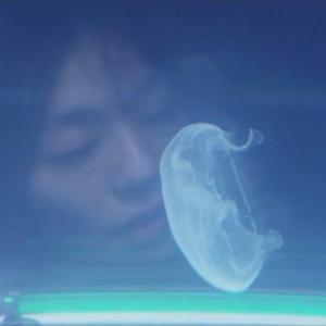 untitled (feat. i9bonsai)