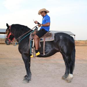 Can't Love Me Remix (feat. Alexcis)