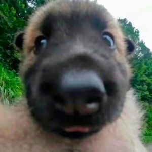 伤口是故事长出的年轮