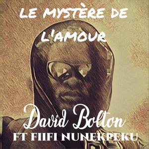 Le mystère de l'amour (feat. Fiifi Nunekpeku)
