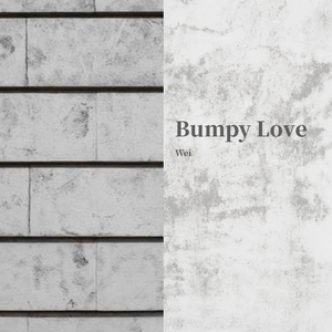 Bumpy Love(2018.12)