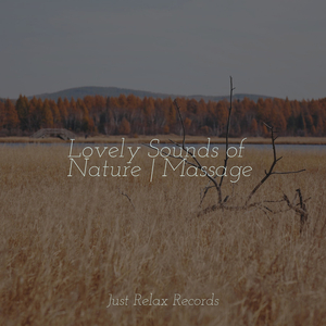 Vanishing Paths of Wandering