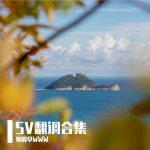 21st Century Schizoid Man(SV林籁 cover)