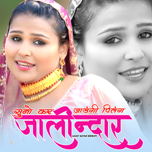 सुनो कर जाऊंगी पिलंग जालीन्दार