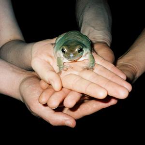 Ég var svona feitt að spá í að henda í afsökunarbeiðni á hópinn, alveg svona alvöru afsökunarbeiðni á allan hópinn