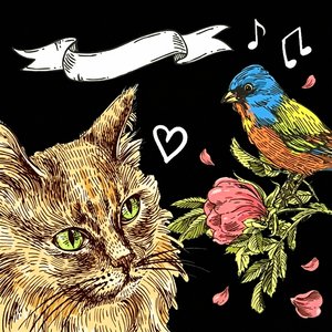 飞鸟与猫