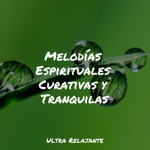 Ritmos De Latidos
