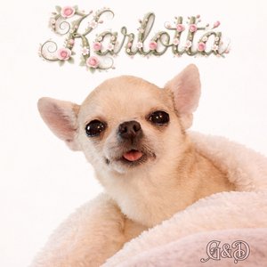 Berceuse Pour Karlotta