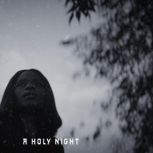 O Holy Night + Silent Night + Noel Christmas Medley