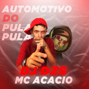 AUTOMOTIVO DO PULA PULA