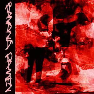 你的名字我的姓氏