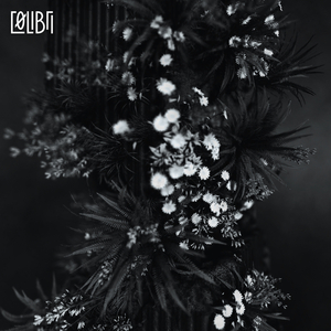 Collapses (Romane Santarelli Remix)