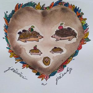 Ježečci a ježenky