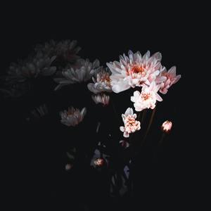名为痛drill beat