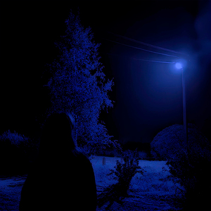 Lonely 2