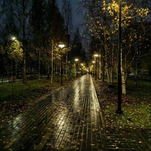 When Silence Turns to Love