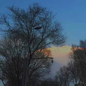 不是因为寂寞才想你