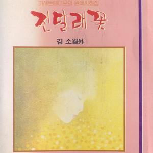 임(시인: 김남조)