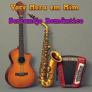 Você Mora em Mim - Sertanejo Romântico