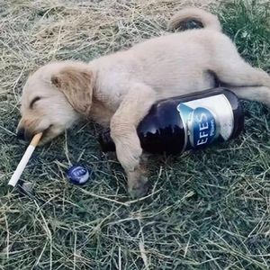 我不想你和我说再见