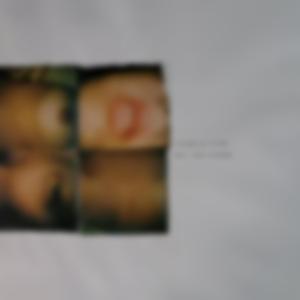 The Bootlegger (feat. David Walsh)