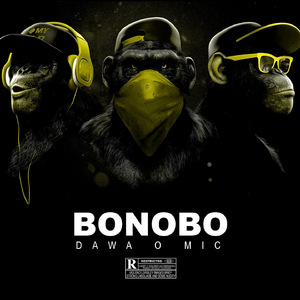 Bonobo
