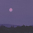 Moony