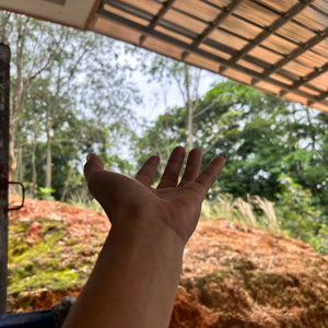 不去追求别的意义