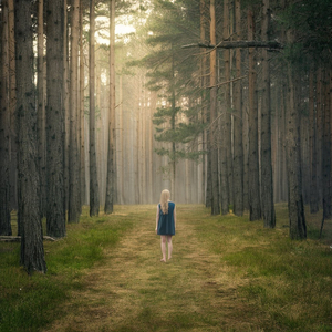 가로등의 빛은 오늘도 환하게 비추어