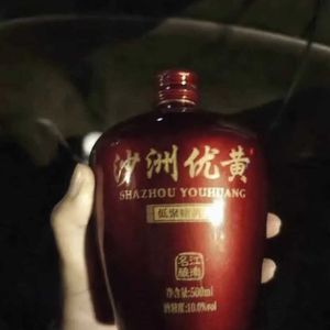 沙洲软语FREESTYLE