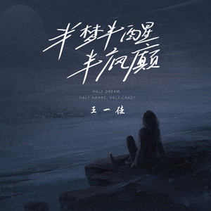 半梦半醒半疯癫