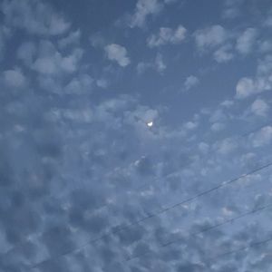 这不是相爱这是赌博