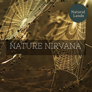 Increase Focus with Breeze Melodies